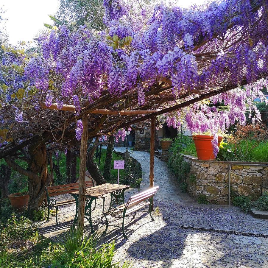 La Vivagna - Casa Vista Mare Tra Gli Ulivi Villa Leivi Exterior photo